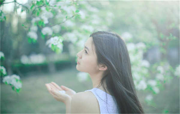 清镇验血查男女几周可以验(验血查男女结果图)